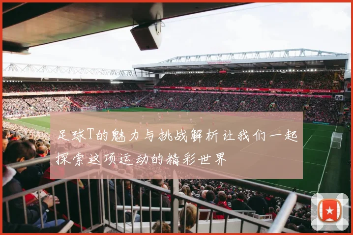 足球T的魅力与挑战解析让我们一起探索这项运动的精彩世界