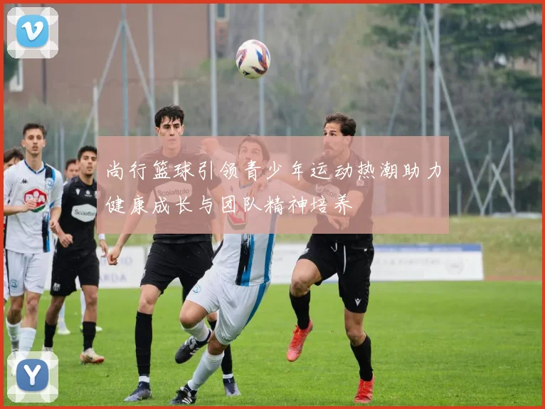 尚行篮球引领青少年运动热潮助力健康成长与团队精神培养