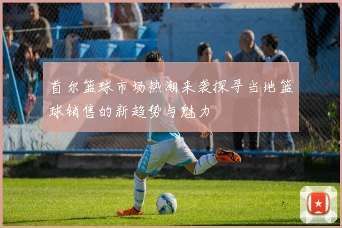 首尔篮球市场热潮来袭探寻当地篮球销售的新趋势与魅力