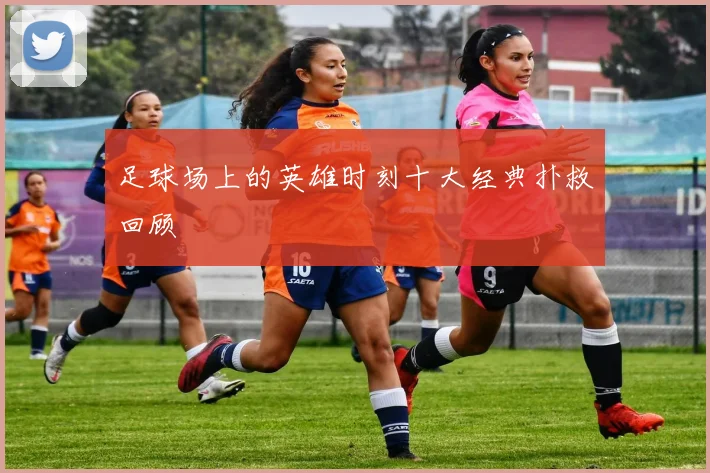 足球场上的英雄时刻十大经典扑救回顾