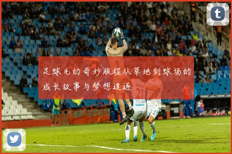 足球毛的奇妙旅程从草地到球场的成长故事与梦想追逐