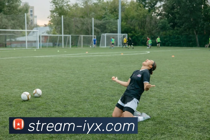 多媒体互动体验