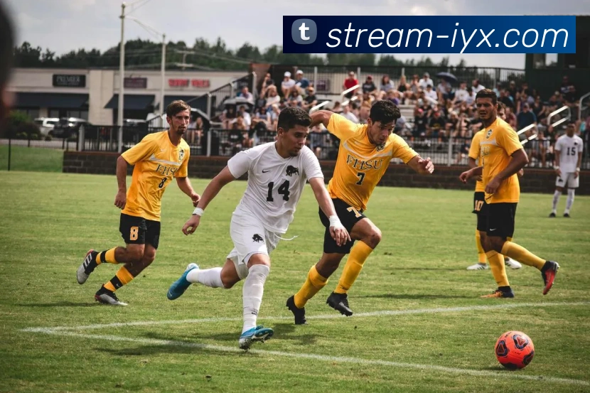 爱游戏官方网站APP 体育赛事宣传图